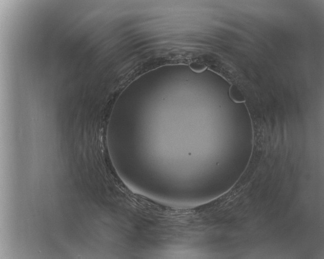 X0000063511013200602032038