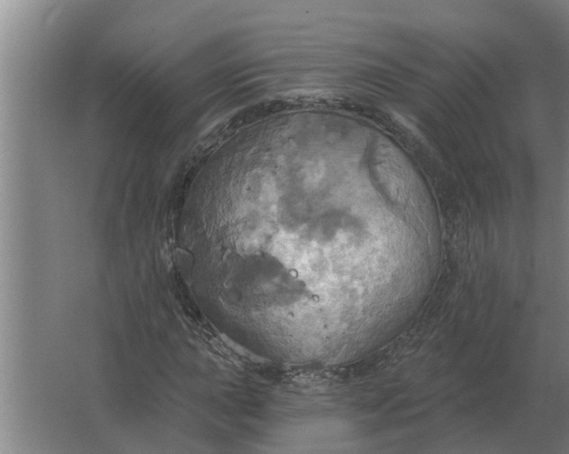 X0000063511015200602032038