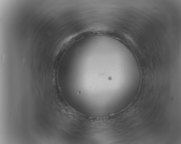 X0000063511016200602032038