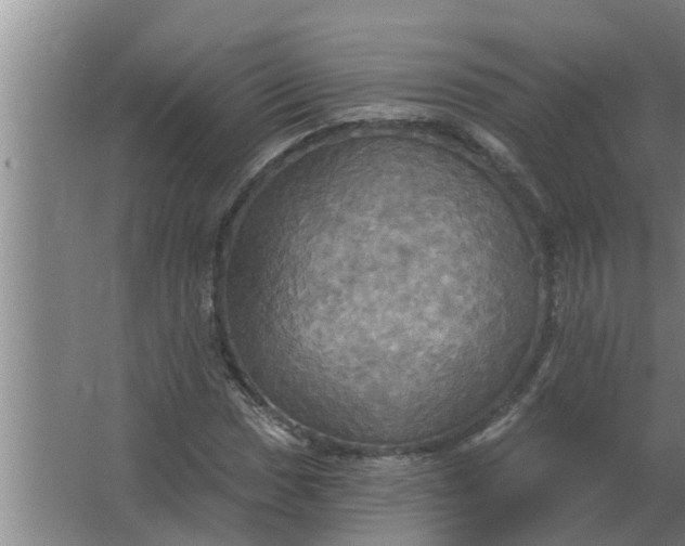 X0000063511017200602032038