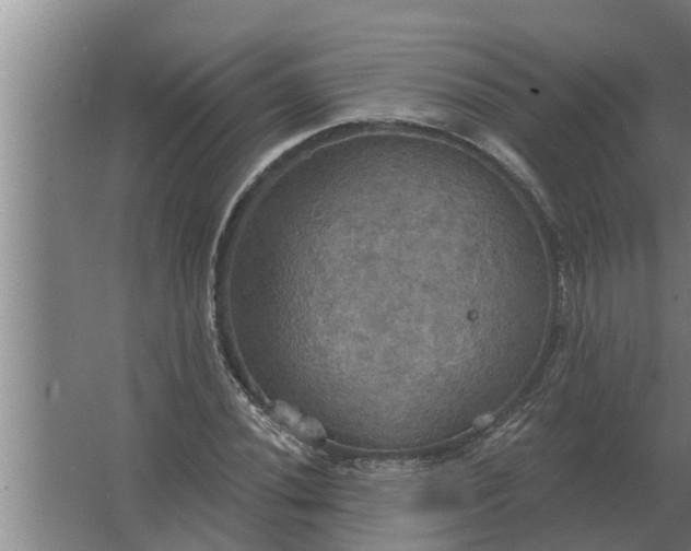 X0000063511020200602032038