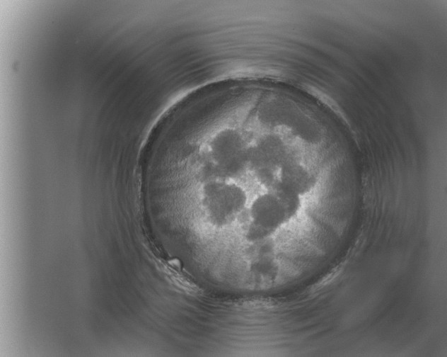 X0000063511021200602032038