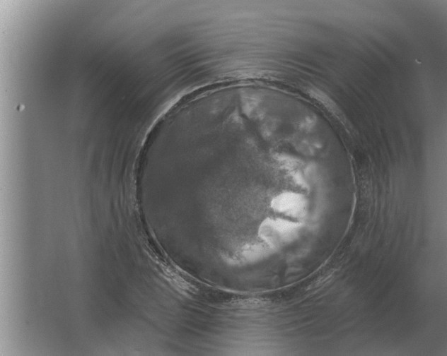 X0000063511023200602032038