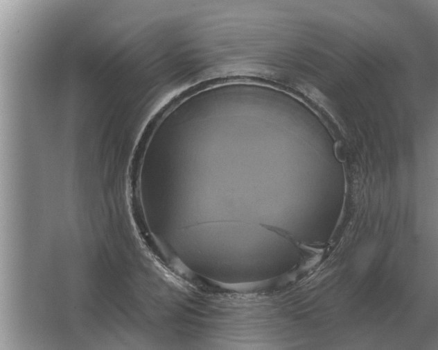 X0000063511024200602032038