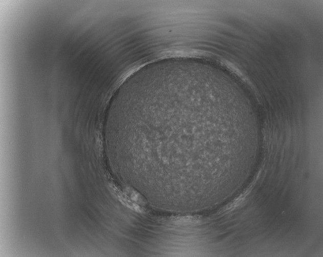 X0000063511025200602032038