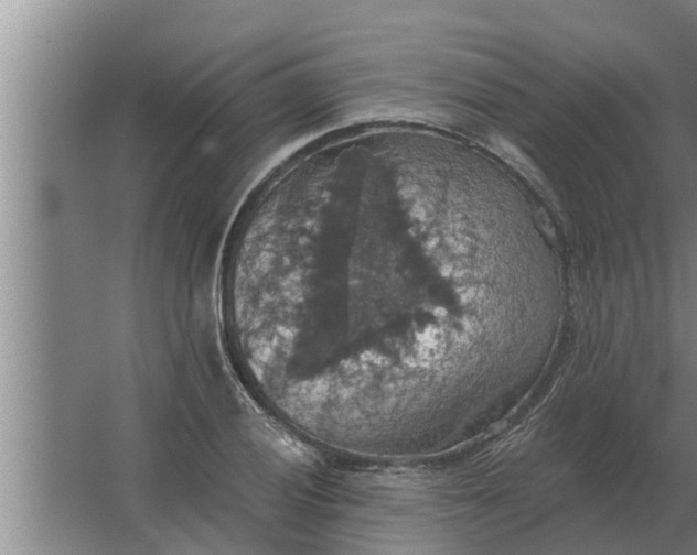 X0000063511028200602032038