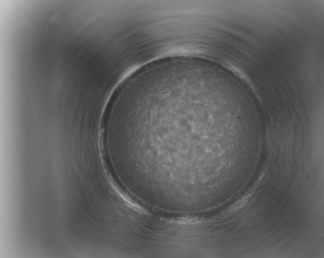 X0000063511029200602032038