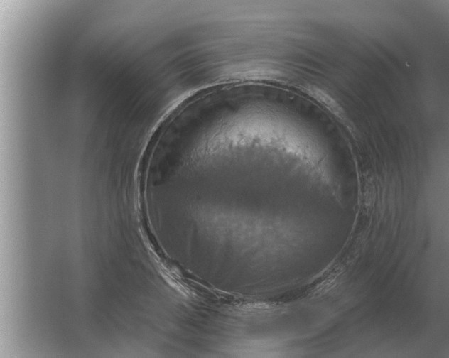 X0000063511031200602032038