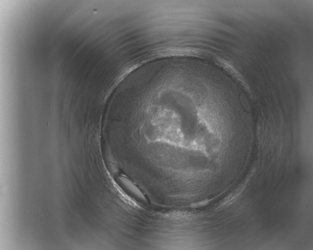 X0000063511033200602032038