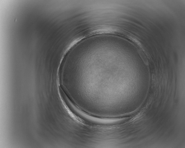 X0000063511034200602032038