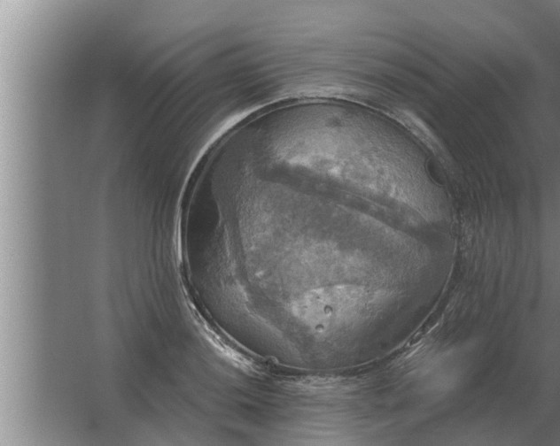 X0000063511036200602032038