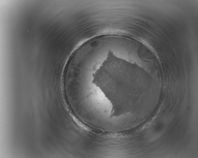 X0000063511037200602032038