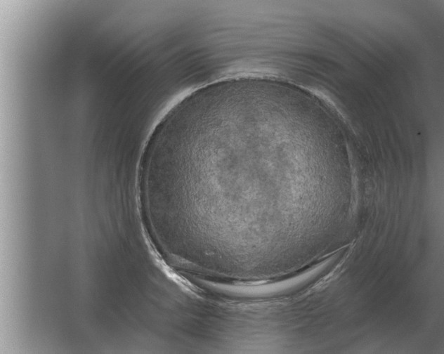 X0000063511038200602032038