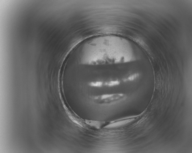 X0000063511039200602032038