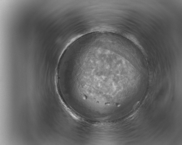 X0000063511040200602032038