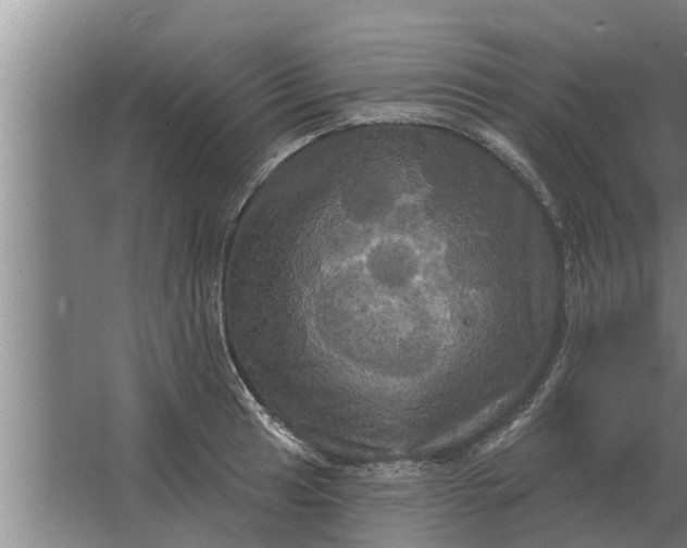 X0000063511041200602032038