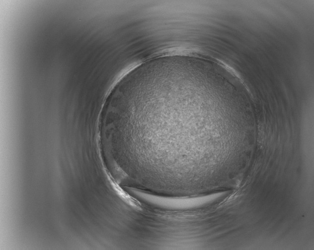 X0000063511042200602032038