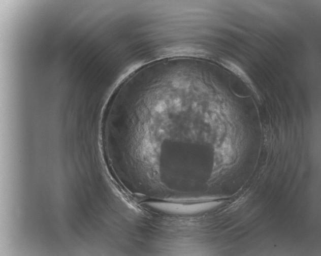 X0000063511043200602032038