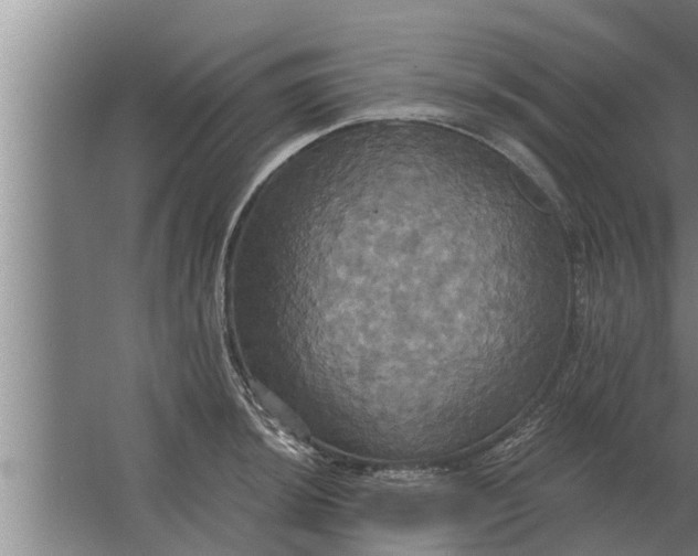 X0000063511044200602032038