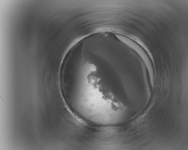 X0000063511045200602032038