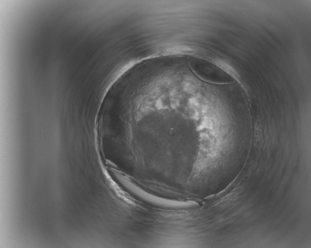 X0000063511047200602032038