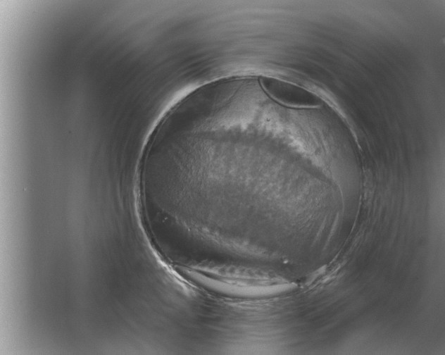 X0000063511048200602032038