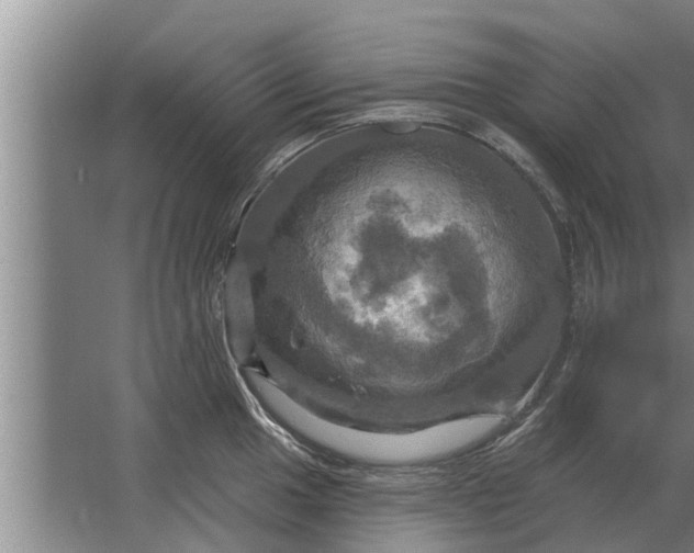 X0000063511049200602032038