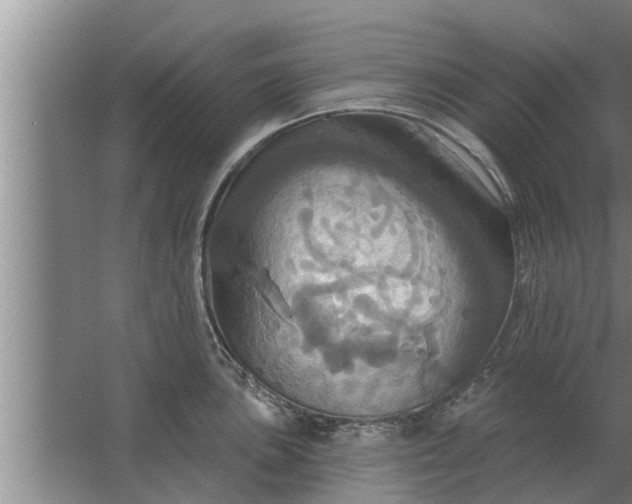 X0000063511051200602032038