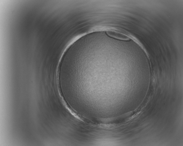 X0000063511053200602032038