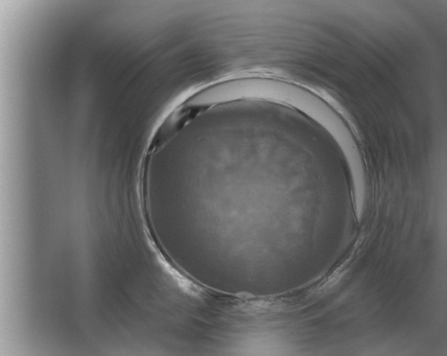 X0000063511054200602032038