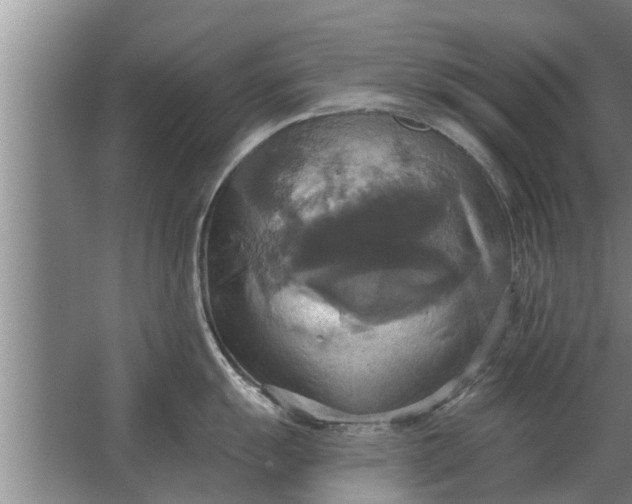 X0000063511055200602032038