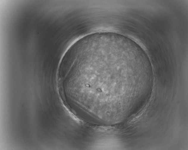 X0000063511056200602032038