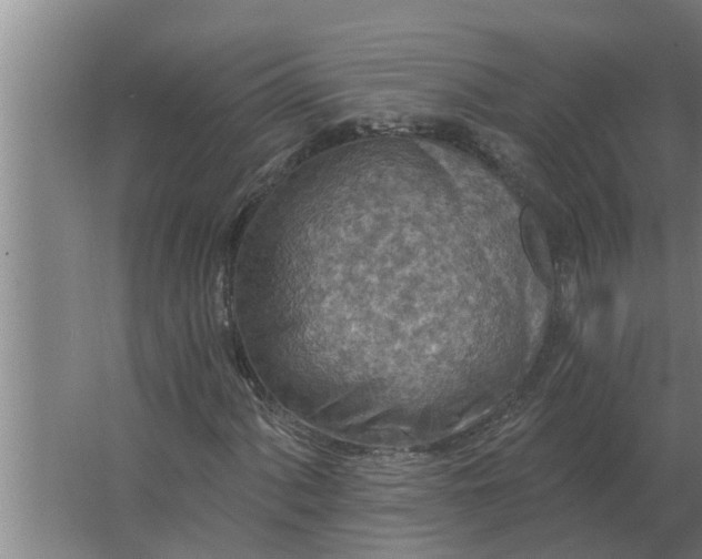 X0000063511060200602032037