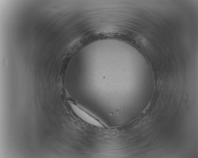 X0000063511062200602032037