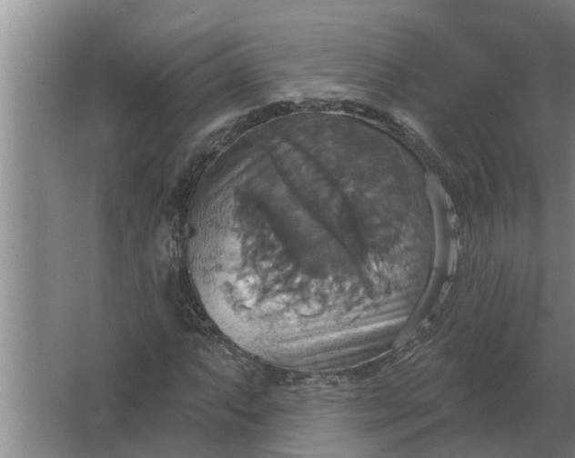 X0000063511063200602032037