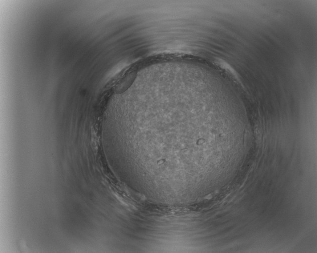 X0000063511064200602032037