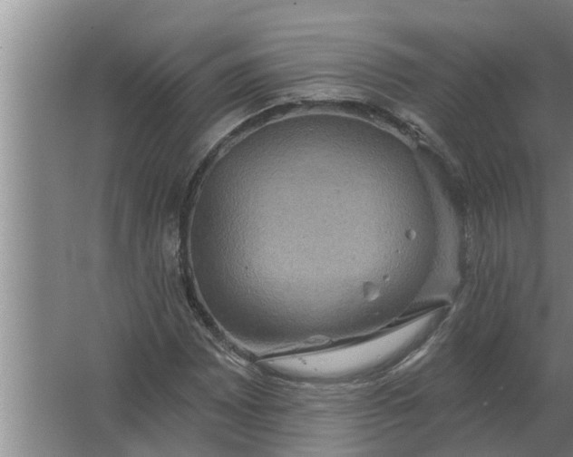 X0000063511065200602032037