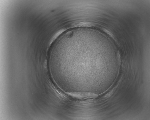 X0000063511066200602032037