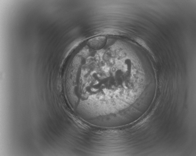 X0000063511067200602032037