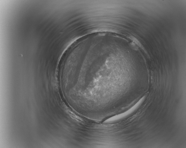 X0000063511068200602032037