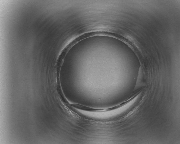 X0000063511069200602032037