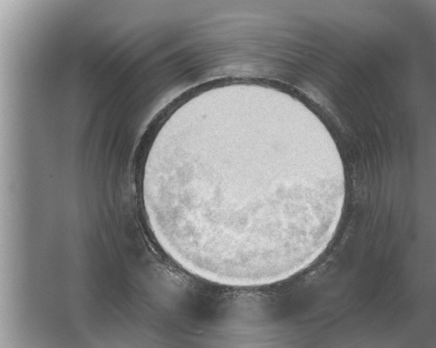 X0000063511070200602032037