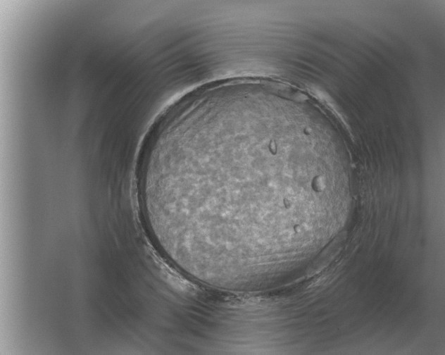 X0000063511072200602032037