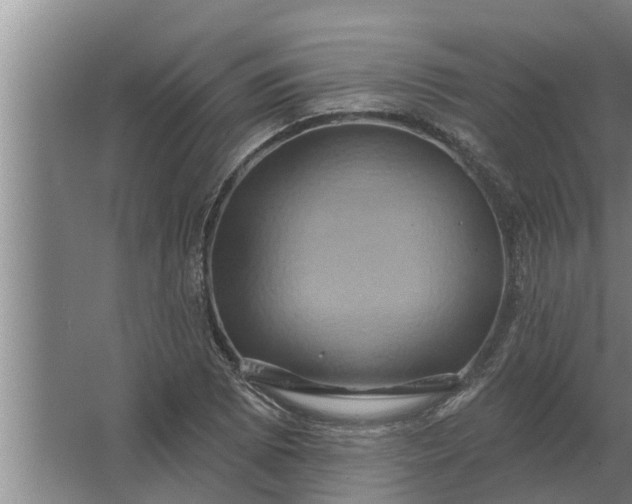 X0000063511073200602032037