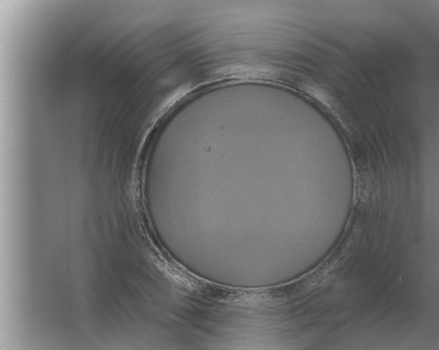 X0000063511074200602032037