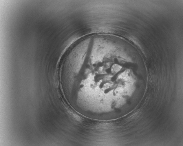 X0000063511075200602032037