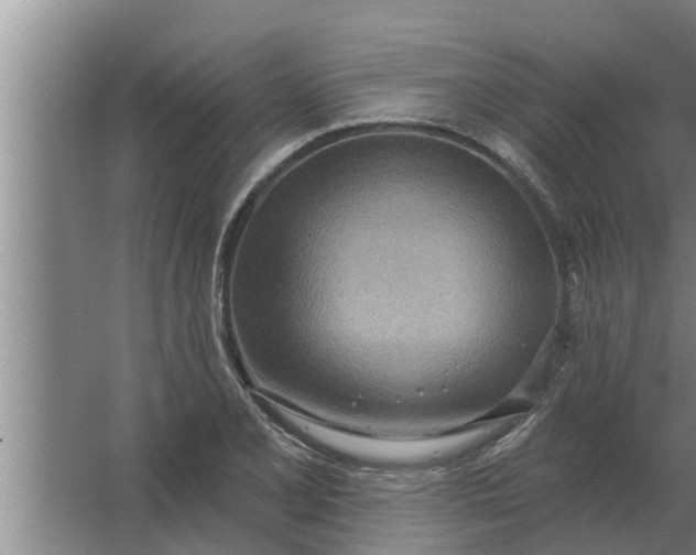 X0000063511077200602032037