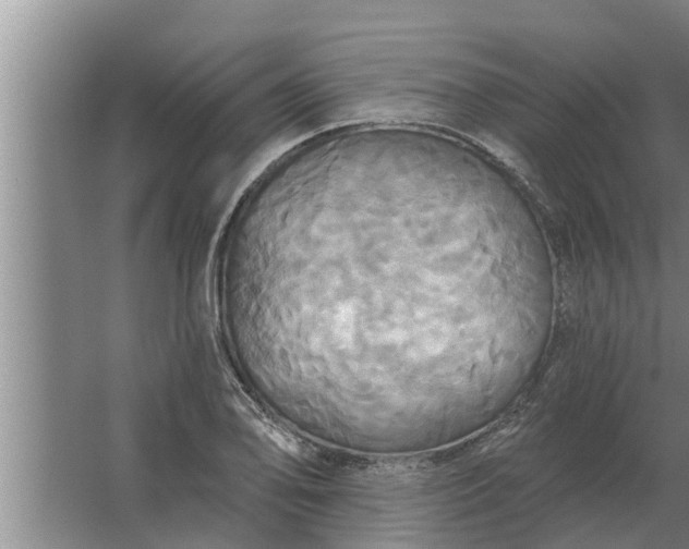 X0000063511078200602032037