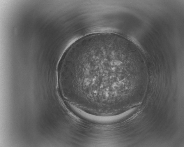 X0000063511079200602032037