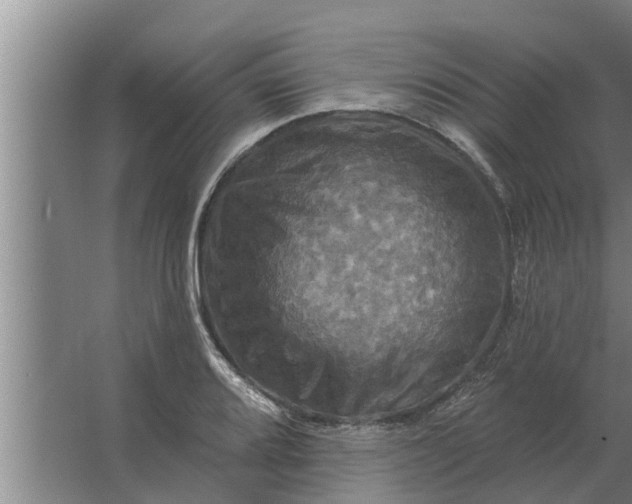 X0000063511080200602032037